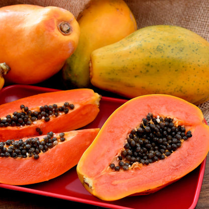 Hawaiian Rainbow Papaya Seeds 