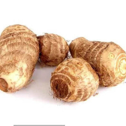 Hawaiian Taro Seeds