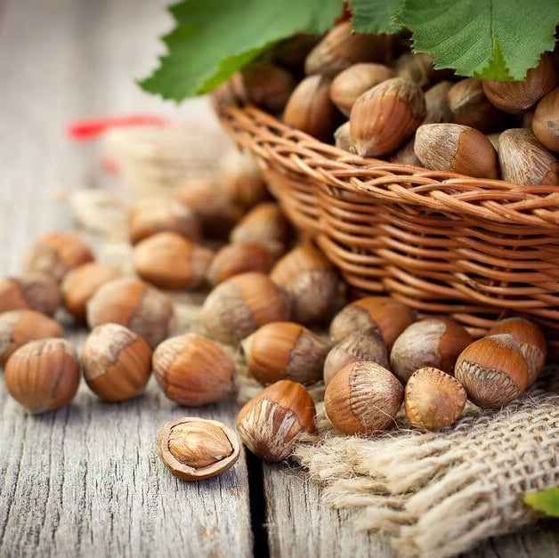 Hazelnut Tree Seeds - Fruit Plant
