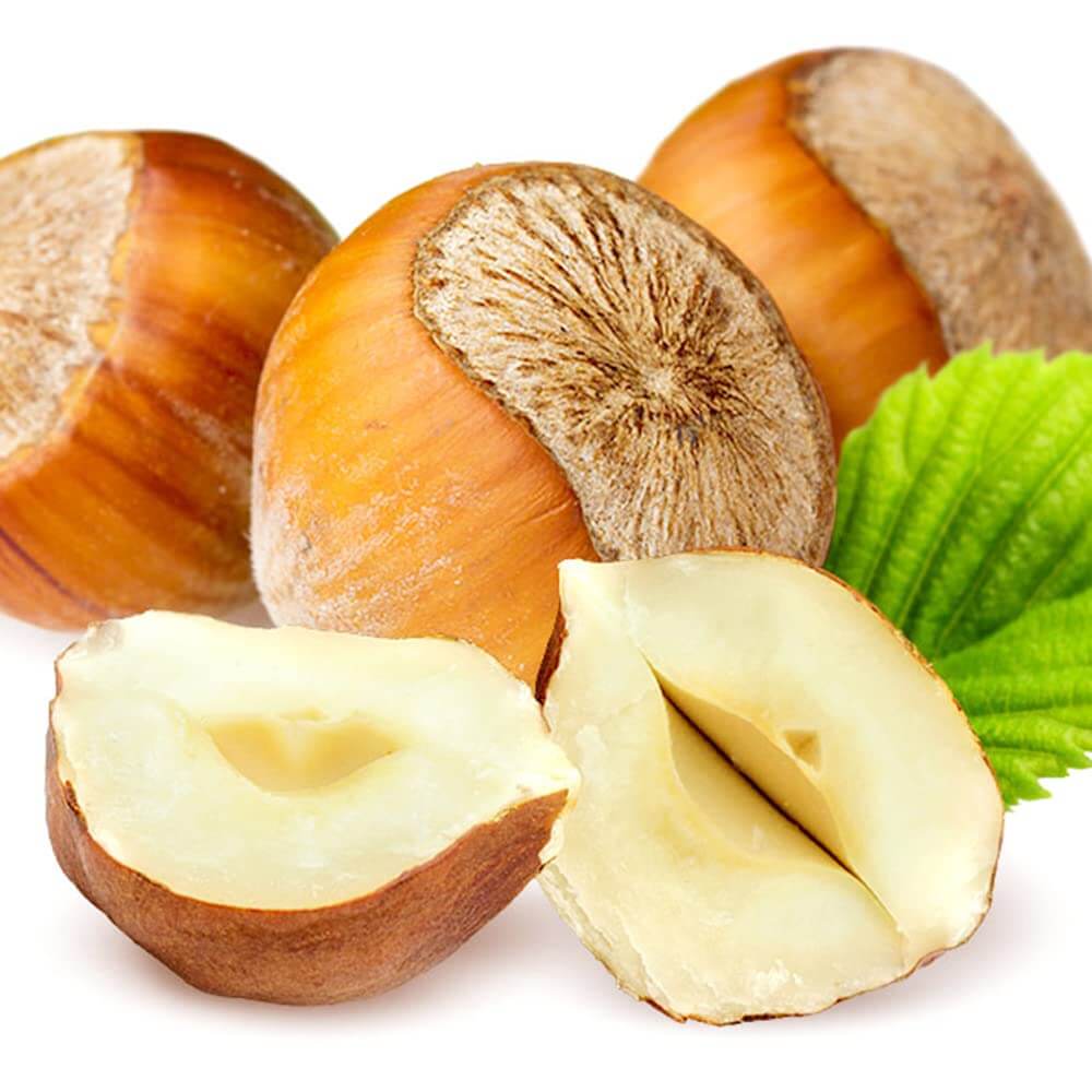 Hazelnut Tree Seeds - Fruit Plant