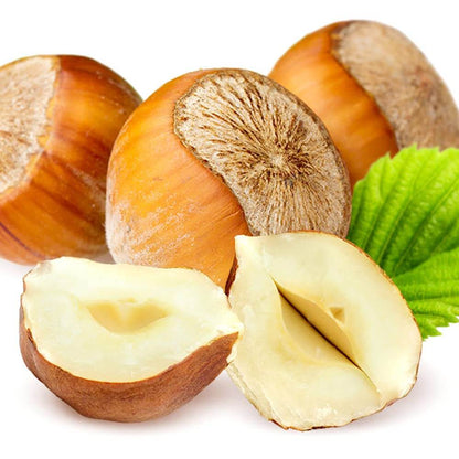 Hazelnut Tree Seeds - Fruit Plant