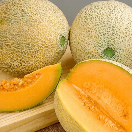 Heirloom Cantaloupe Seeds - Fruit Plant