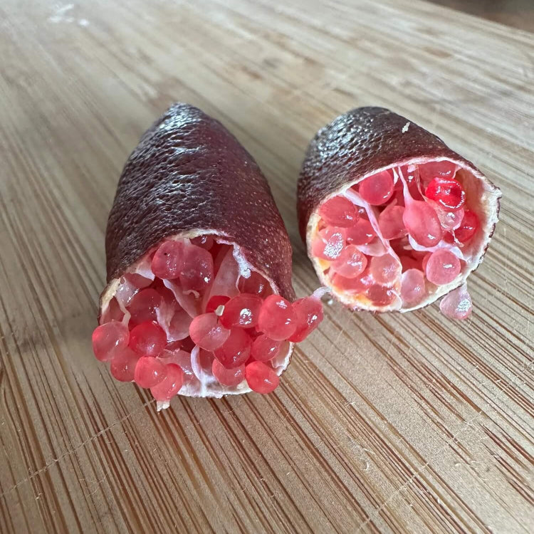 High Quality Finger Lime Seeds - Fruit Plant