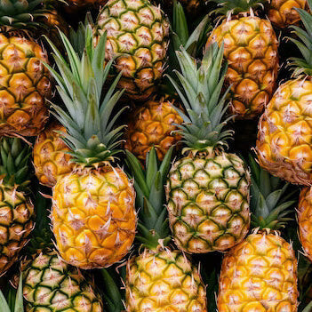Hilo Pineapple Seeds