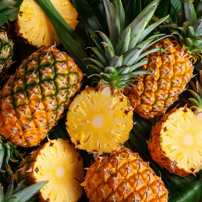 Hilo Pineapple Seeds