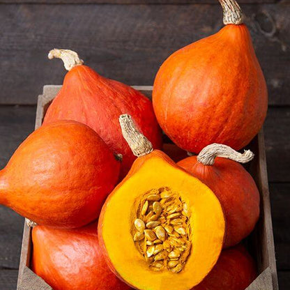 Hokkaido Red Kuri Pumpkin Seeds