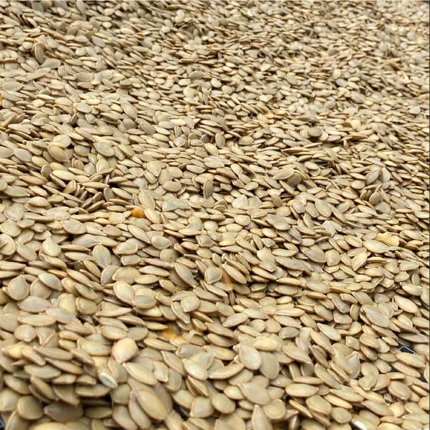 Hokkaido Red Kuri Pumpkin Seeds