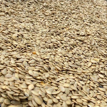 Hokkaido Red Kuri Pumpkin Seeds