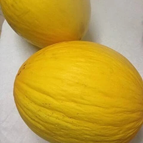 Honey Melon Seeds