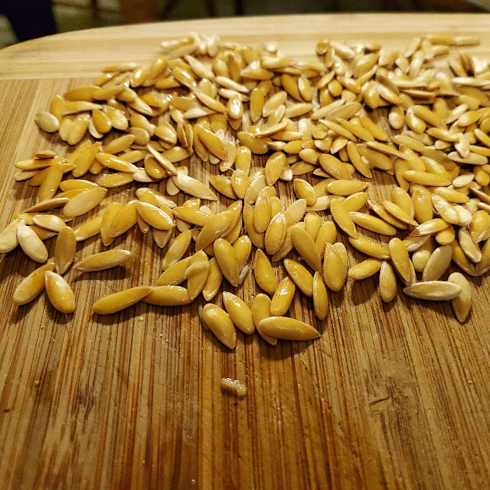 Honey Melon Seeds