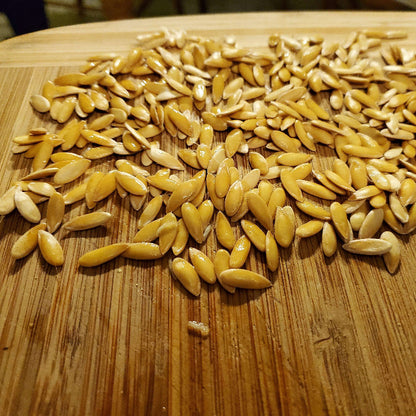 Honey Melon Seeds