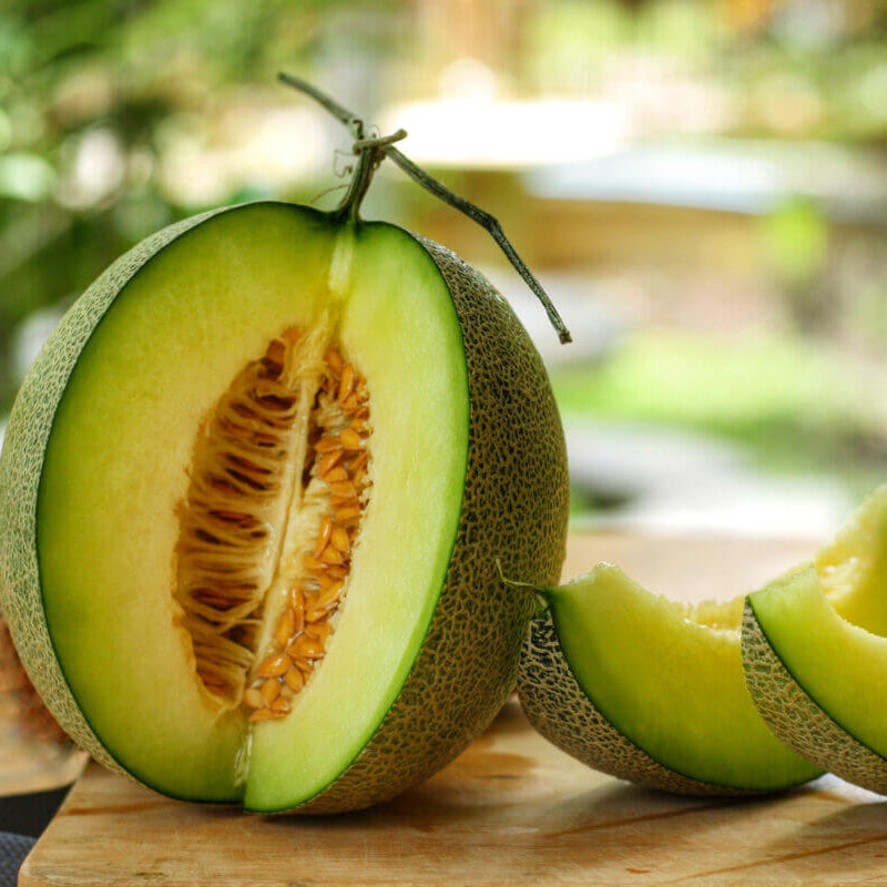 Honeydew Melon Seeds - Fruit Plant