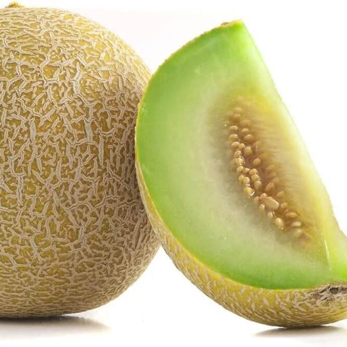 Honeydew Melon Seeds - Fruit Plant