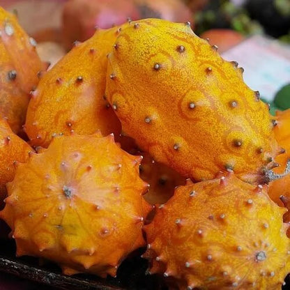 Horned Melon Seeds - Fruit Plant