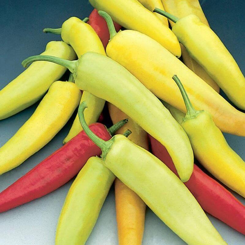 Hot Banana Pepper Seeds - Vegetable Plant