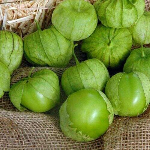 Husk Tomatillo Seeds 