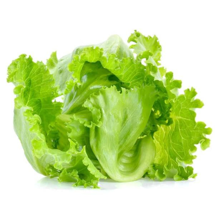 Iceberg Lettuce seeds - Vegetable Plant