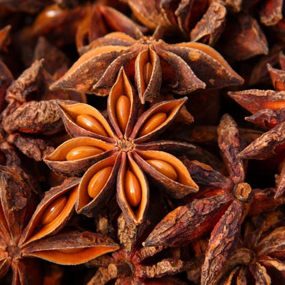 Illicium Verum Seeds - Heirloom Herbal Plant for Home Gardens