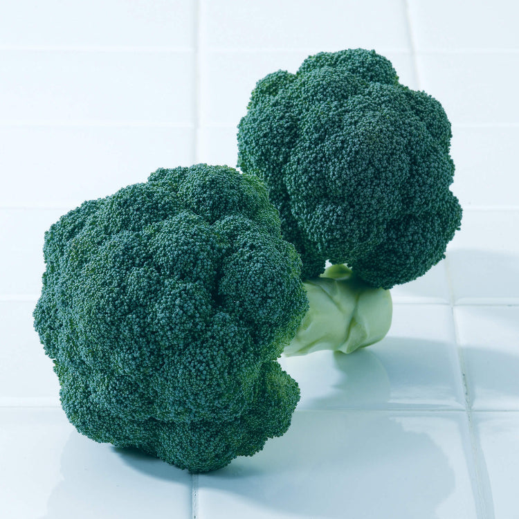 Imperial Broccoli Seeds - Vegetable Plant