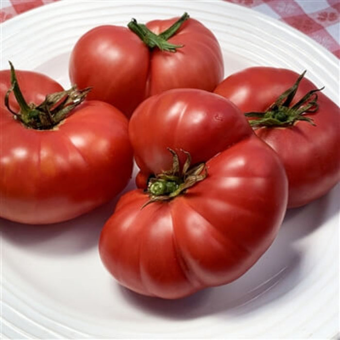 Italian Heirloom Tomato Seeds - Vegetable Plant