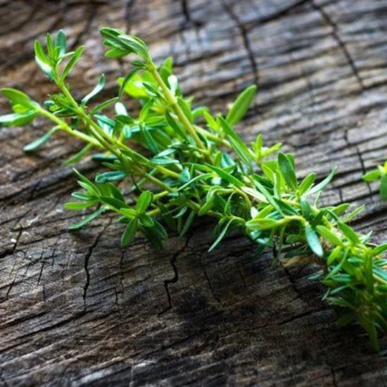 Italian Savory Seeds