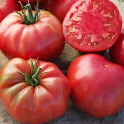 Italian Tree Tomato Seeds