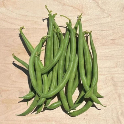 Jade Bean Seeds - Vegetable Plant