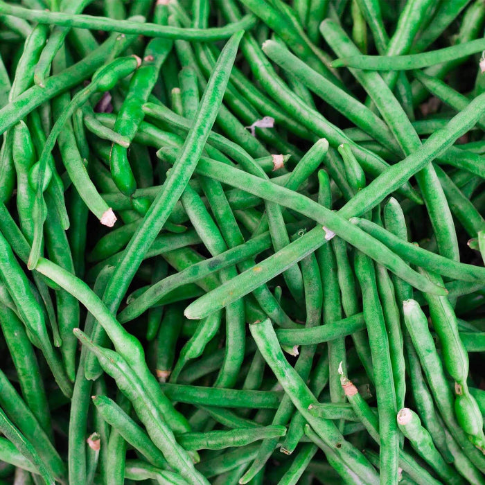 Jade Bean Seeds - Vegetable Plant