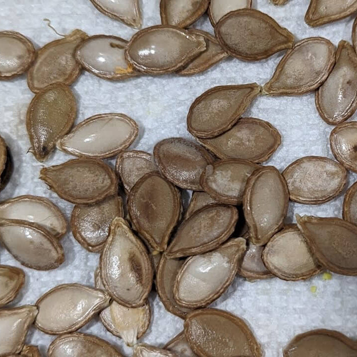 Jamaican Pumpkin Seeds