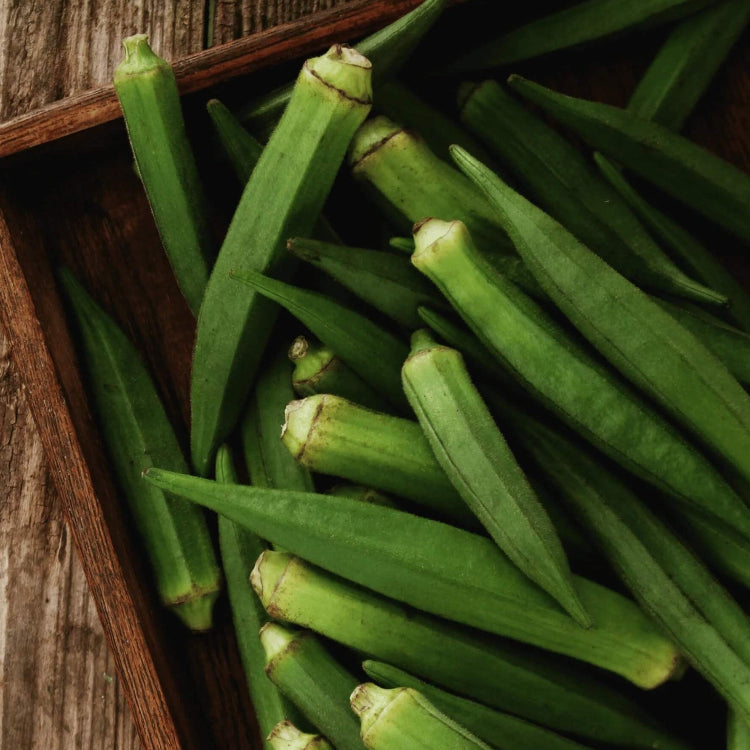 Jambalaya okra seeds - Vegetable Plant