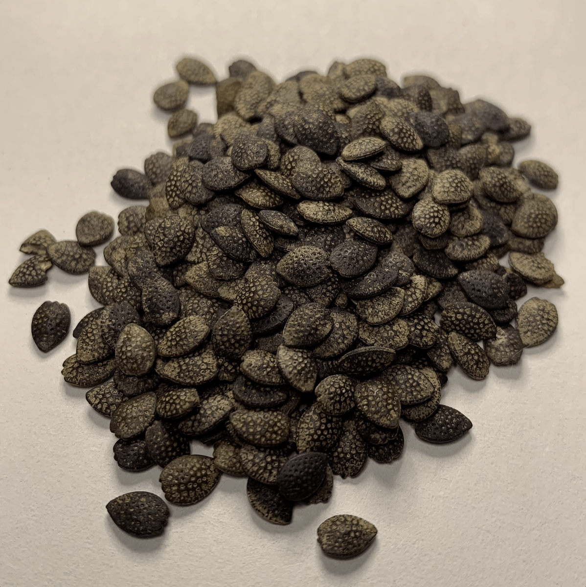 Jambo Passion Seeds
