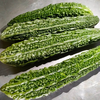 Japanese Bitter Gourd Seeds