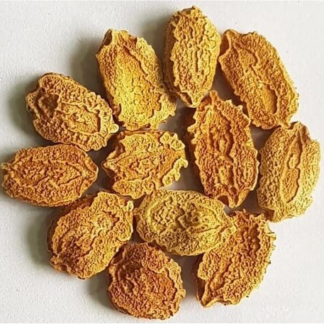 Japanese Bitter Gourd Seeds