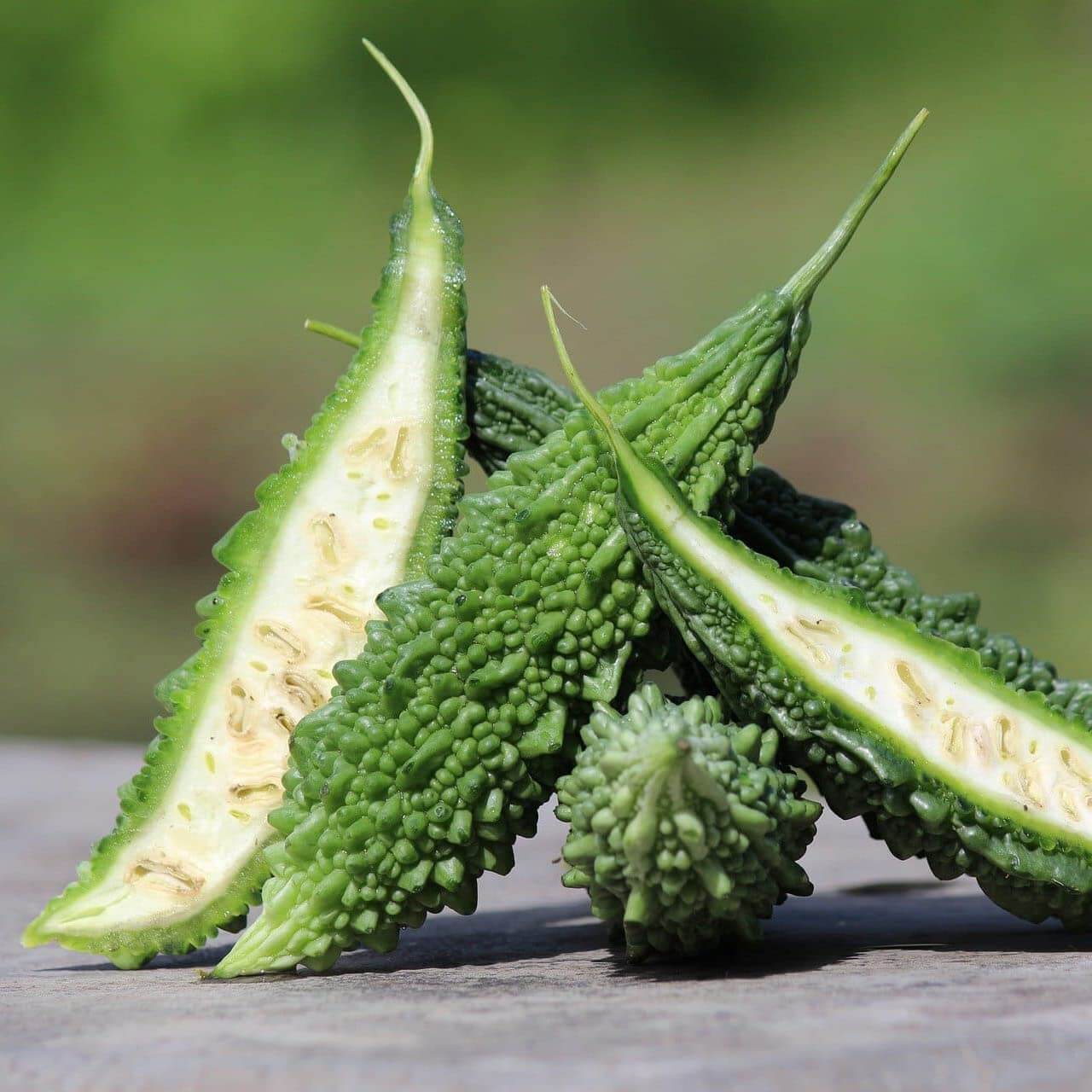 Japanese Bitter Gourd Seeds