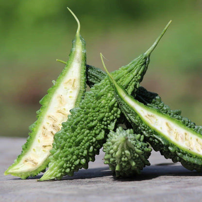 Japanese Bitter Gourd Seeds