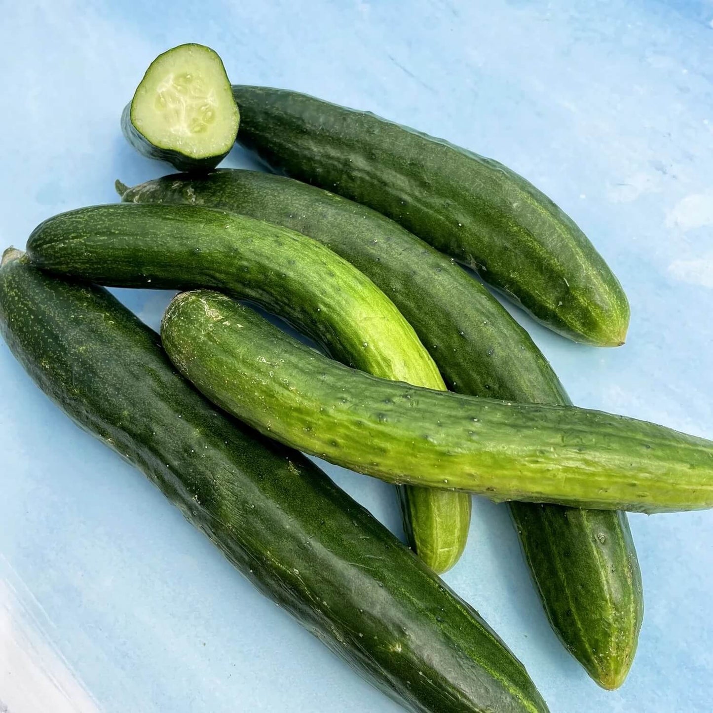 Japanese Cucumber Seeds