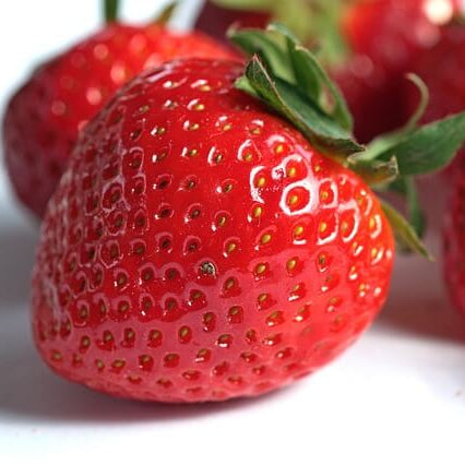Japanese Hokowase Strawberry  Seeds