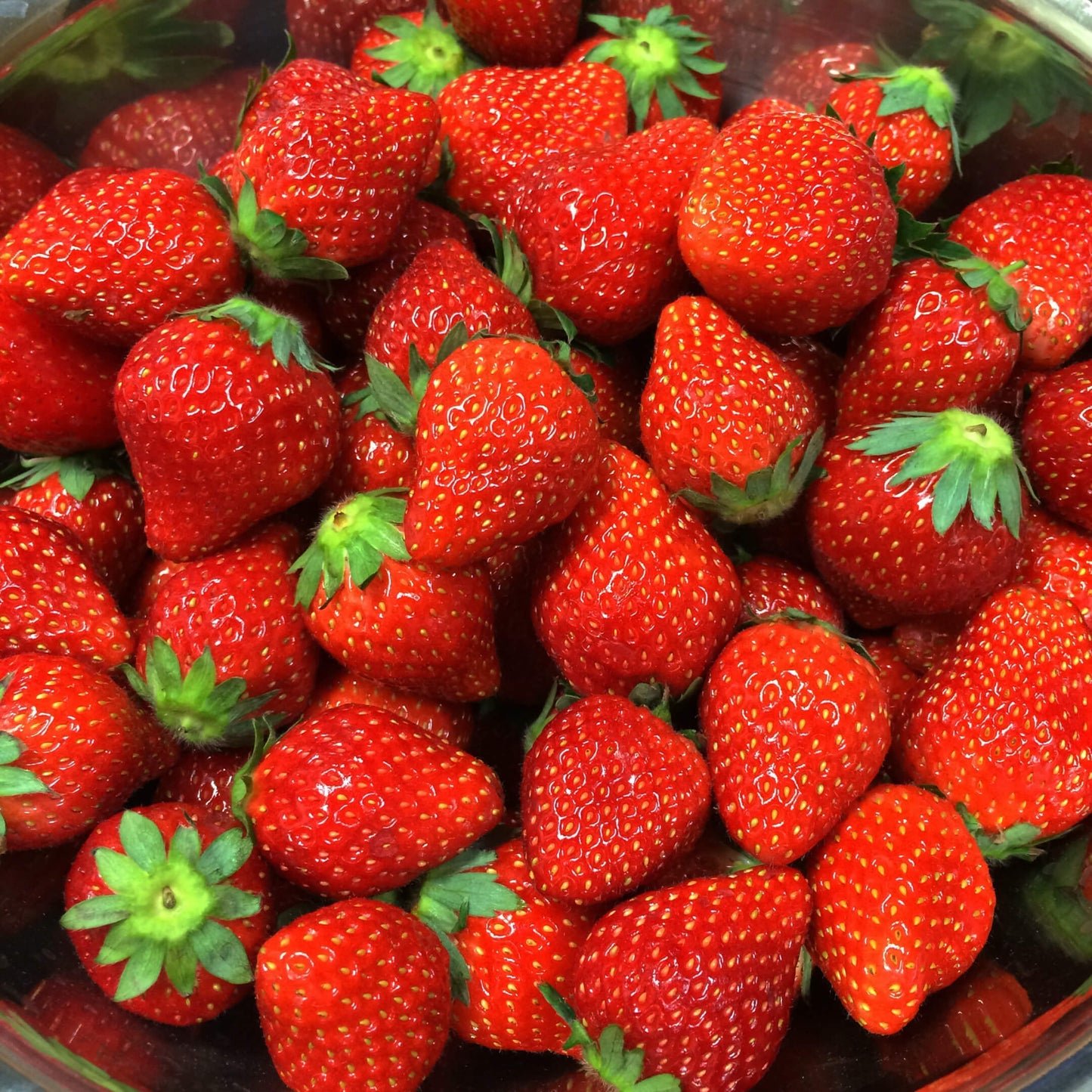 Japanese Hokowase Strawberry  Seeds