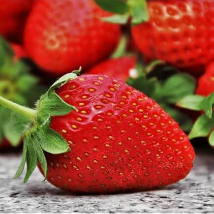 Japanese Hokowase Strawberry  Seeds