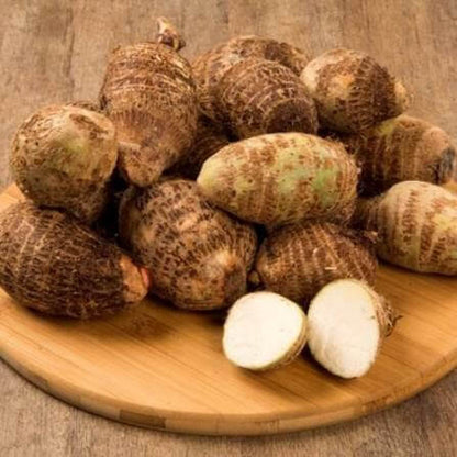 Japanese Taro Seeds 