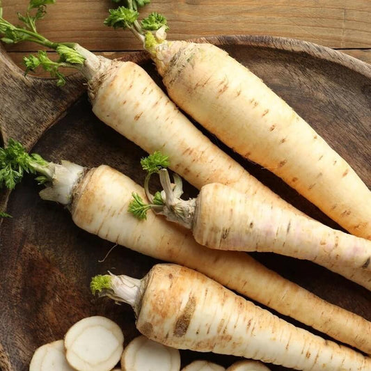 Javelin Parsnip Seeds 
