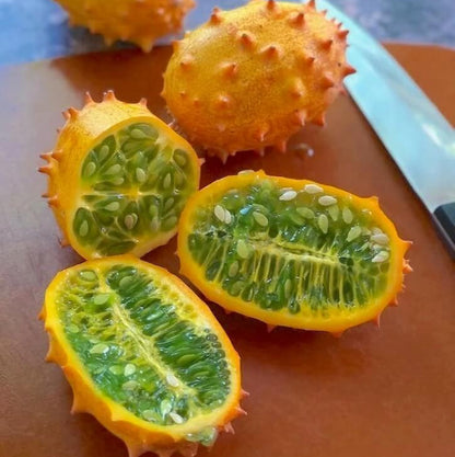 Jelly Melon Seeds