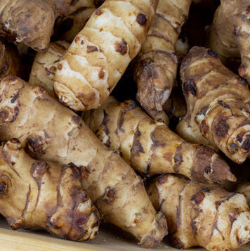Jerusalem Artichoke Seeds