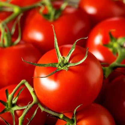 Jet Star Tomato Seeds For Sale