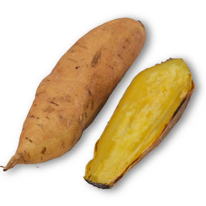 Jewel Sweet Potato Seeds