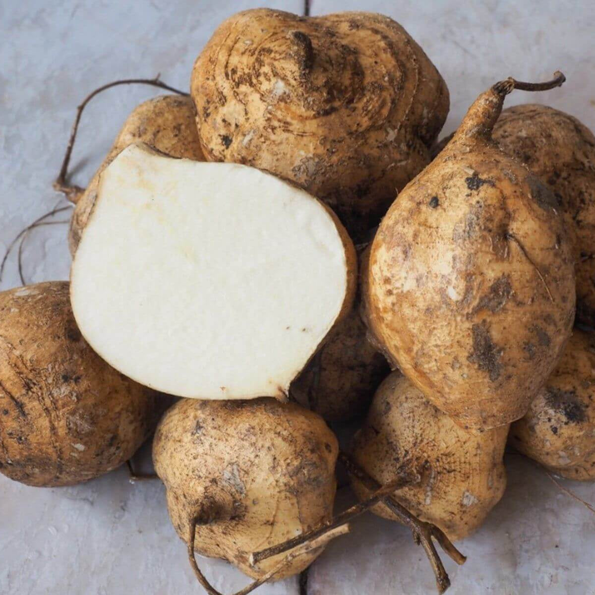 Jicama Seeds
