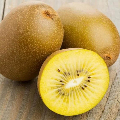 Jin Tao Kiwi Seeds
