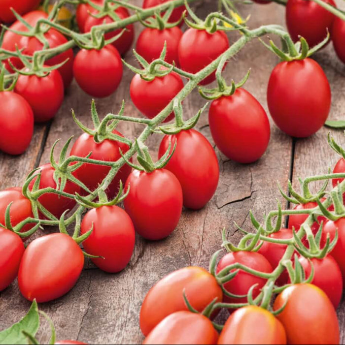Juliet  tomato seeds - Vegetable Plant