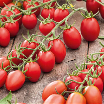Juliet  tomato seeds - Vegetable Plant