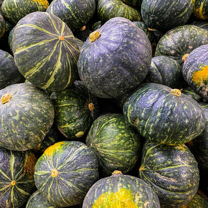 Kabocha Squash Seeds
